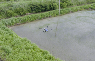 黒竜江省 | 黒竜江省 ドローンによる稲作散布が農業の新時代を開く
