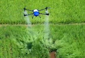 高精度農業用ドローンが水田に防虫剤を散布
