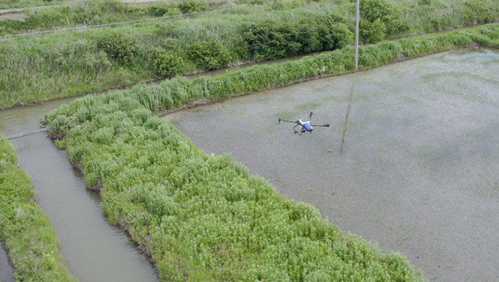 黒竜江省 | 米づくりが拓く一世帯一台農業の新時代
