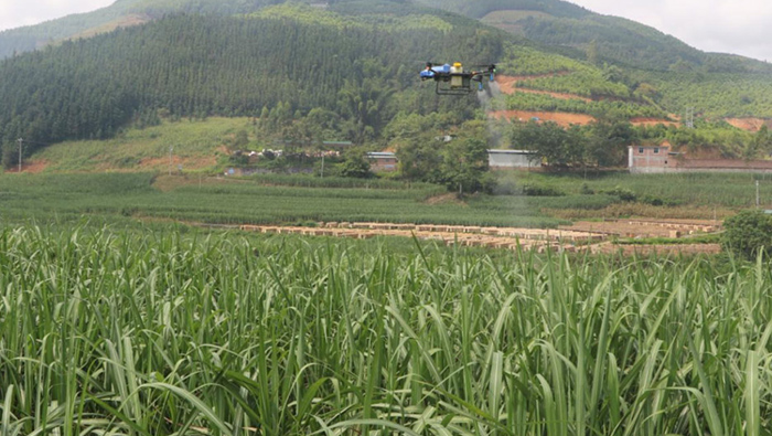 EAvisionのインテリジェント農業用ドローンがサトウキビ飛来防止に顕著な効果を発揮！